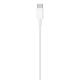 4. Apple USB-C auf Lightning Kabel (2 m)