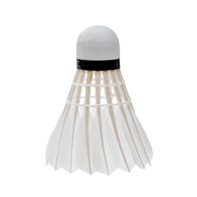 6. Hi-Tec Flaya Dart-Set 92800073782