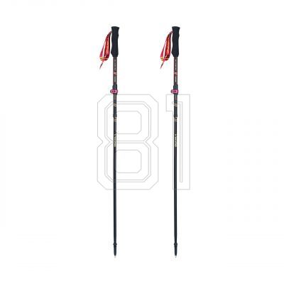 Viking Kettera Pro Lady Trekking Poles 610-25-7713-0946-UNI
