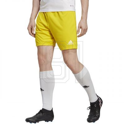 3. adidas Entrada 22 M IC7404 Shorts