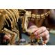 11. LEGO Jurassic World 77985 - Dinosaurierskelette: Triceratops