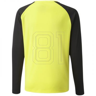 2. Puma teamPacer GK LS Trikot Jr 704939 42