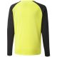 2. Puma teamPacer GK LS Trikot Jr 704939 42