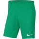 Nike Dry Park III NB K Herrenshorts Grün BV6855 324