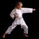 9. Karate-Kimono für Kinder + gratis Gürtel - DBX BUSHIDO ARK-3102 120 cm