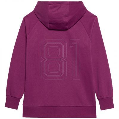 2. Sweatshirt 4F F0955 W 4FWSS24TSWSF0955 51S