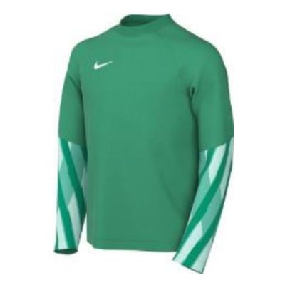 Nike Junior Dri-FIT Park V Torwarttrikot HV8318-324