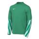 Nike Junior Dri-FIT Park V Torwarttrikot HV8318-324