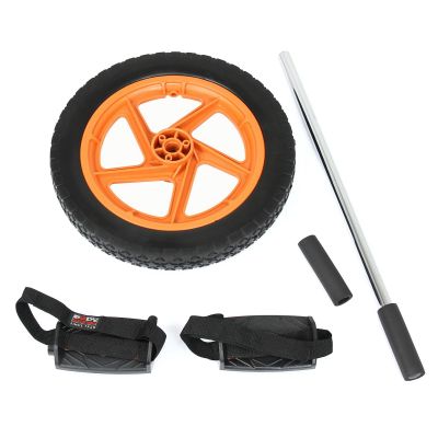 11. Body Sculpture Fitness Power BB 712 Rolle, Rad