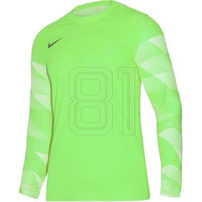 Nike Dry Park IV JSY LS GK Jr CJ6072-702 Trikot