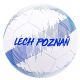 2. Weiß-blauer Wappenball von Lech Poznań