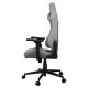 4. COUGAR CGR-EPF-ROA Universeller Gaming-Stuhl Grau