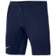 Nike Strike22 KZ Shorts M DH9363-451