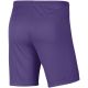 2. Nike Dry Park III NB K Herrenshorts Lila BV6855 507