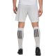 5. adidas Entrada 22 M HG6295 Shorts
