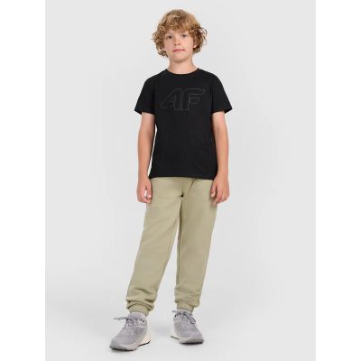 3. Bedrucktes T-Shirt für Jungen 4F 4FJWMM00TTSHM2331-20S