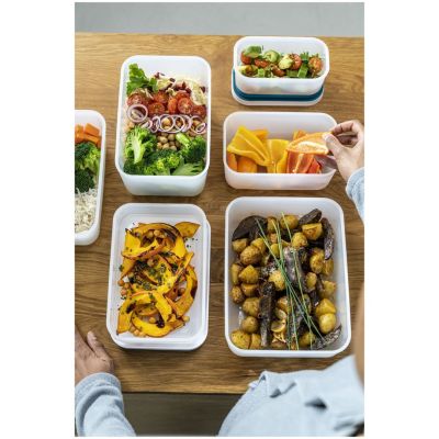 8. ZWILLING Fresh & Save 36815-013-0 Kunststoff-Starterset L