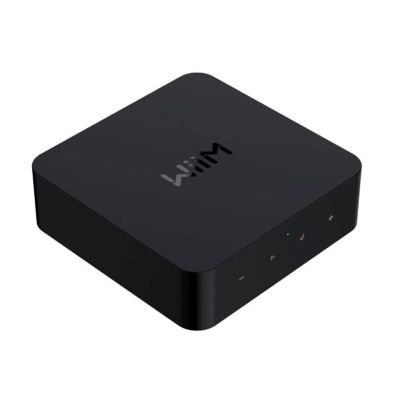 3. WiiM Pro Plus - Netzwerkspieler