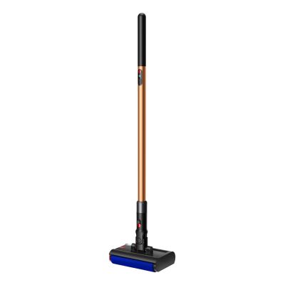 2. Dyson Pencilwash Elektrischer Wischmopp, akkubetrieben, beutellos, mehrfarbig