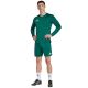 7. adidas Entrada 26 Langarmtrikot für Herren, grün, KF5846