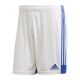 3. adidas Tastigo 19 Shorts M FI6355