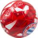 5. FUSSBALL FC BAYERN MÜNCHEN Y.5