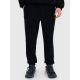 Herren Jogger Sweatpants 4F 4FRSS25TTROM1476-20S