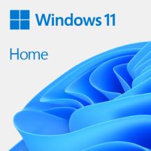 Microsoft Windows 11 Home 64-Bit Polnisch 1-Pack DVD OEM