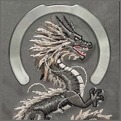 5. Nimmy Dragon MagSafe Case für iPhone 16 Pro Max - Grau