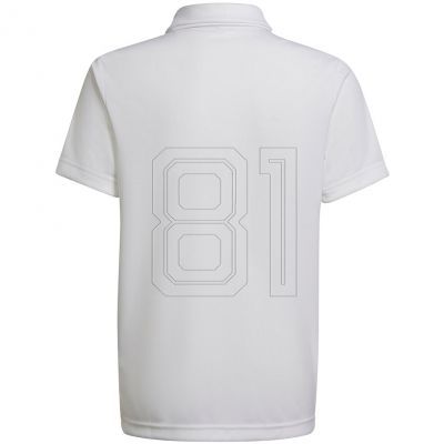 2. adidas Entrada 22 Polo Jr HC5059