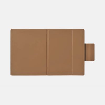 6. Magnetische Hülle Onyx Boox Go 10,3 Lumi, braun