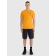 3. Herren T-Shirt mit normalem Aufdruck 4F 4FRSS25TTSHM2688-70S
