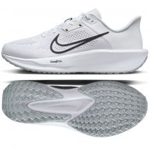 Nike Quest 6 M FD6033-100 Schuhe