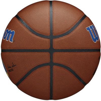 5. Wilson Team Alliance Golden State Warriors Ball WTB3100XBGOL