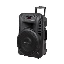 Aktivlautsprecher (mit 2 drahtlosen UHF-Mikrofonen, SD, Bluetooth, FM, USB) 40 Watt