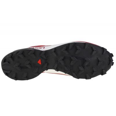 4. Salomon Speedcross 5 GTX M 416125 Laufschuhe