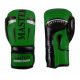 7. MASTERS RPU-FT 011123-0210 Boxhandschuhe