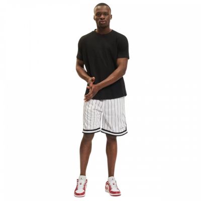 6. Karl Kani Small Signature Pinstripe Mesh Short M 6014921