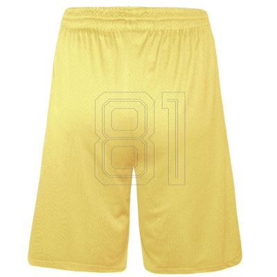 3. Colo Spring 04 Basketballshorts