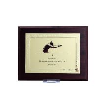 Diplom aus Kunststoff mit gravierter Metallplatte