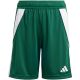 2. adidas Tiro 24 Jr IT2409 Shorts