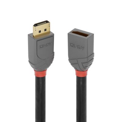 2. Lindy 36498 DisplayPort-Kabel 3 m Schwarz