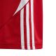 5. adidas Tiro 24 Jr IR9367 Shorts
