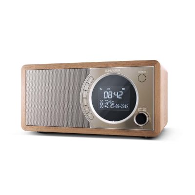 Sharp DR-450(BR) Digitalradio mit Bluetooth-Technologie
