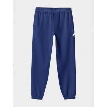 Jogginghose 4F M 4FWAW24TTROM1277-31S
