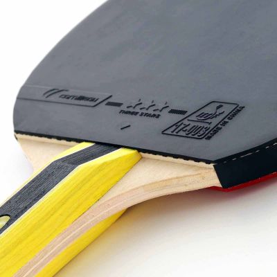 3. Cornilleau Sport 434000 Tischtennisschläger