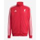 adidas Liverpool LFC DNA-Sweatshirt JW7892