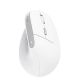 6. Vertrauen Sie BAYO II ERGONOMISCHES KABELLOSES Weiße Maus