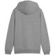 6. Puma Team Goal Casuals Hoddy Jr Sweatshirt 658619 33