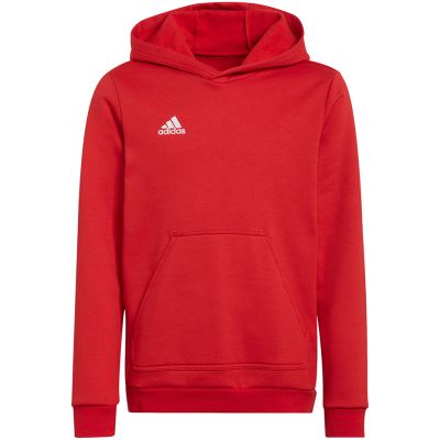 5. Adidas Entrada 22 Hoody Jr Sweatshirt H57566